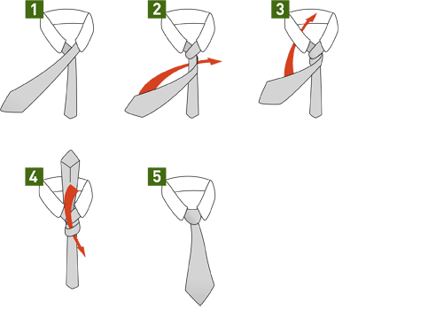krawattenknoten-prince-albert-knoten.gif